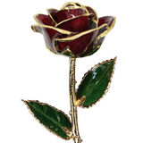 Gold Dipped Rose