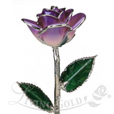 Gold Dipped Rose