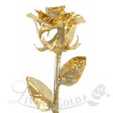 Gold Dipped Rose