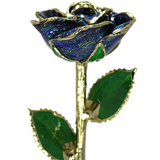 Gold Dipped Rose