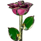 Gold Dipped Rose