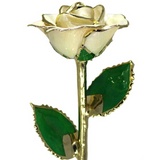 Gold Dipped Rose