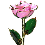 Gold Dipped Rose