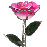 Gold Dipped Rose