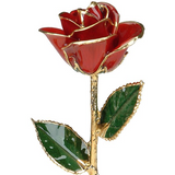 Gold Dipped Rose