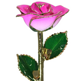 Gold Dipped Rose