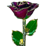 Gold Dipped Rose
