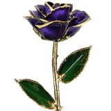 Gold Dipped Rose