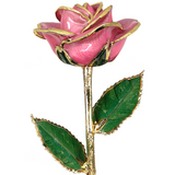 Gold Dipped Rose