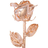 Gold Dipped Rose