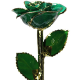 Gold Dipped Rose