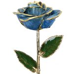Gold Dipped Rose