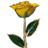 Gold Dipped Rose