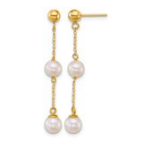 Pearl Earring