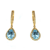Gemstone Earring