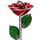 Gold Dipped Rose