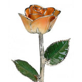 Gold Tipped Rose