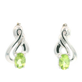 Sterl. S.- Gold filled Ear w/ Dia/Gem