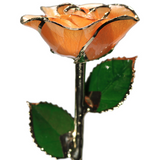 Gold Dipped Rose