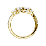 LAB Diamond Anniversary